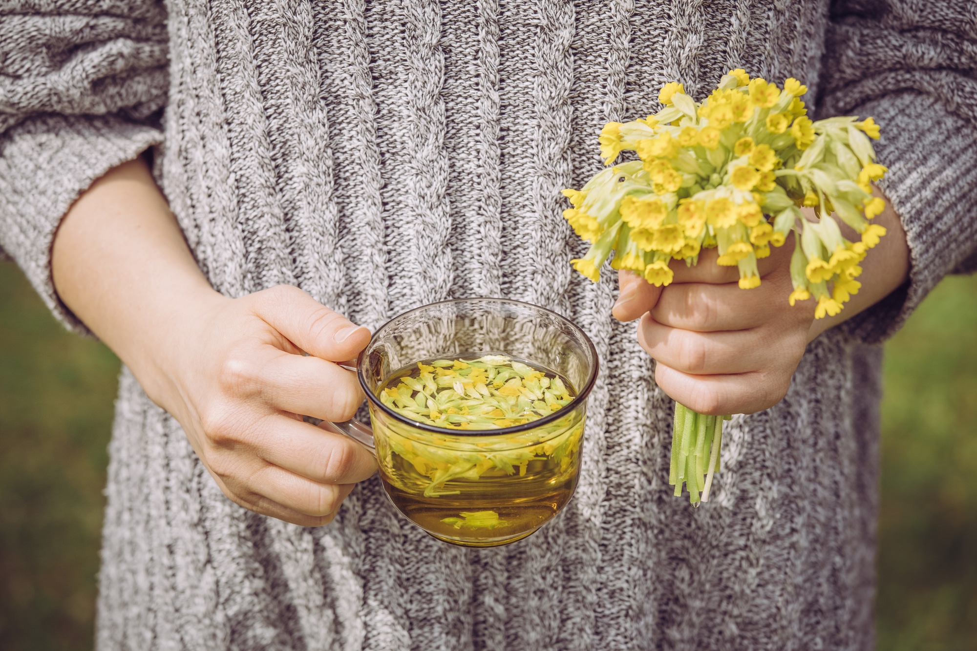 Cup of Primula veris tea