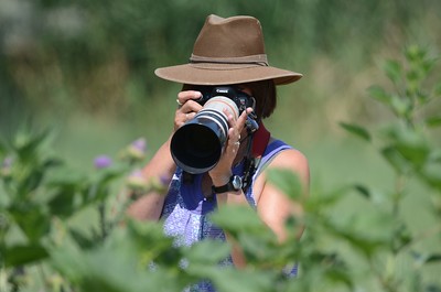 Bear River Migratory Bird Refuge