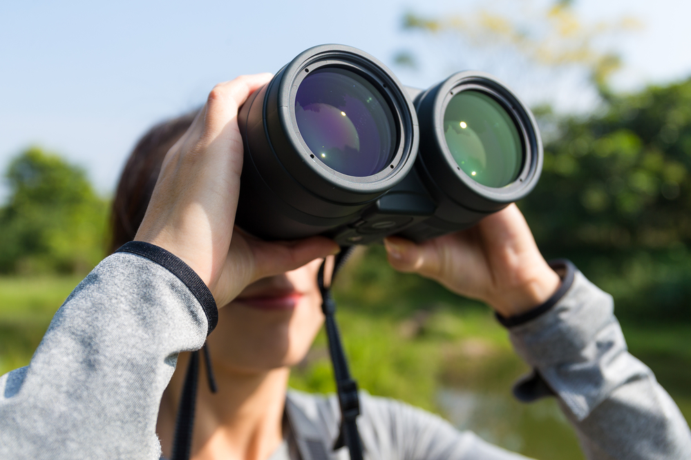 best binoculars for bird watching uk