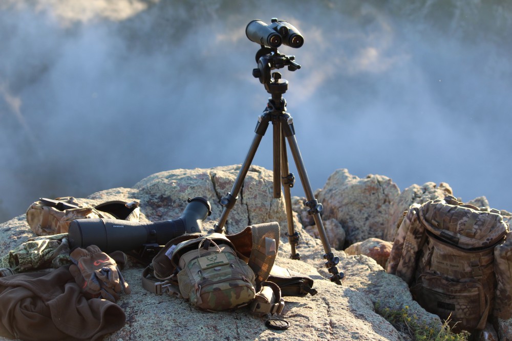Binoculars vs spotting scopes 
