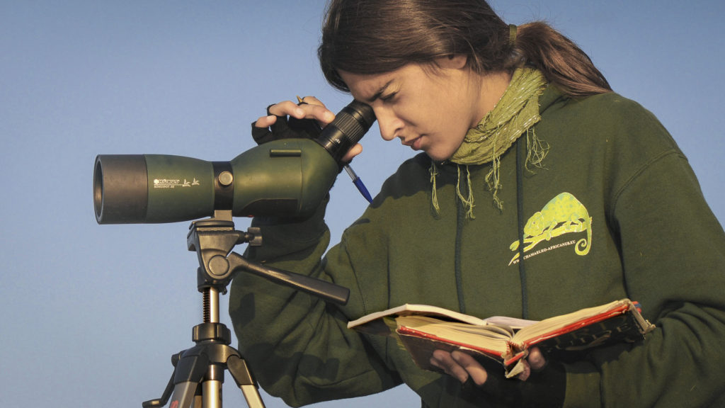 girl using a spotting scope