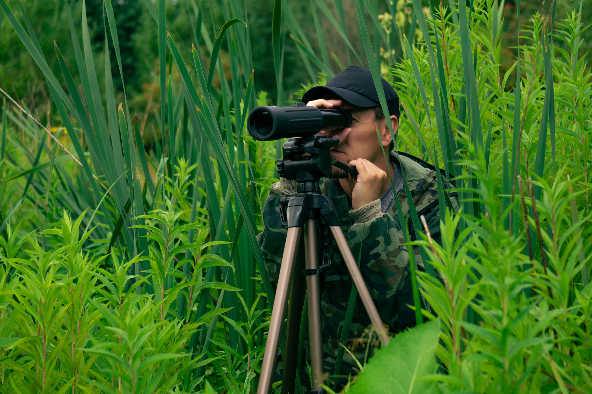 man birdwatcher makes field observation with a spotting scope
