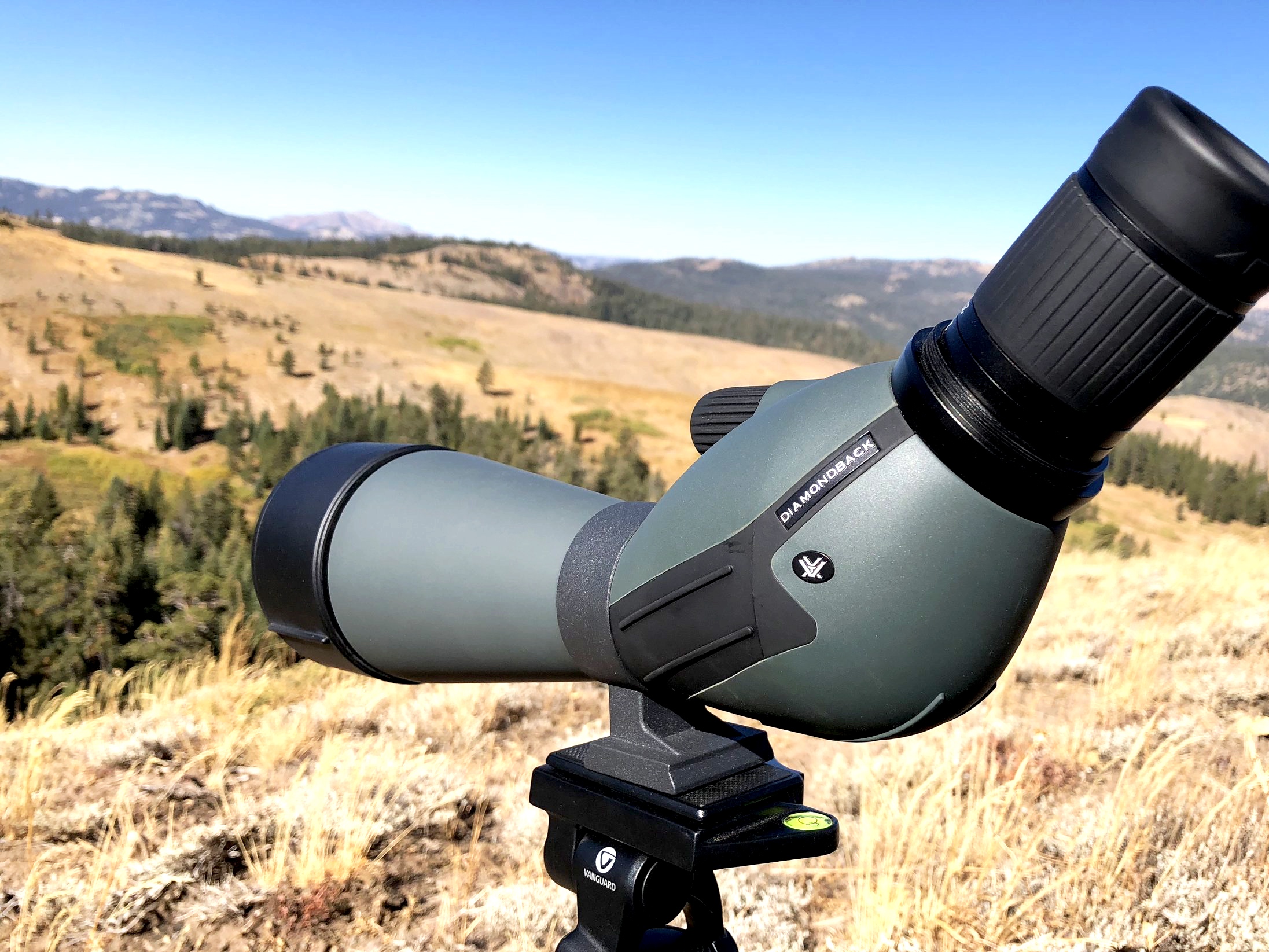 Angled spotting scope