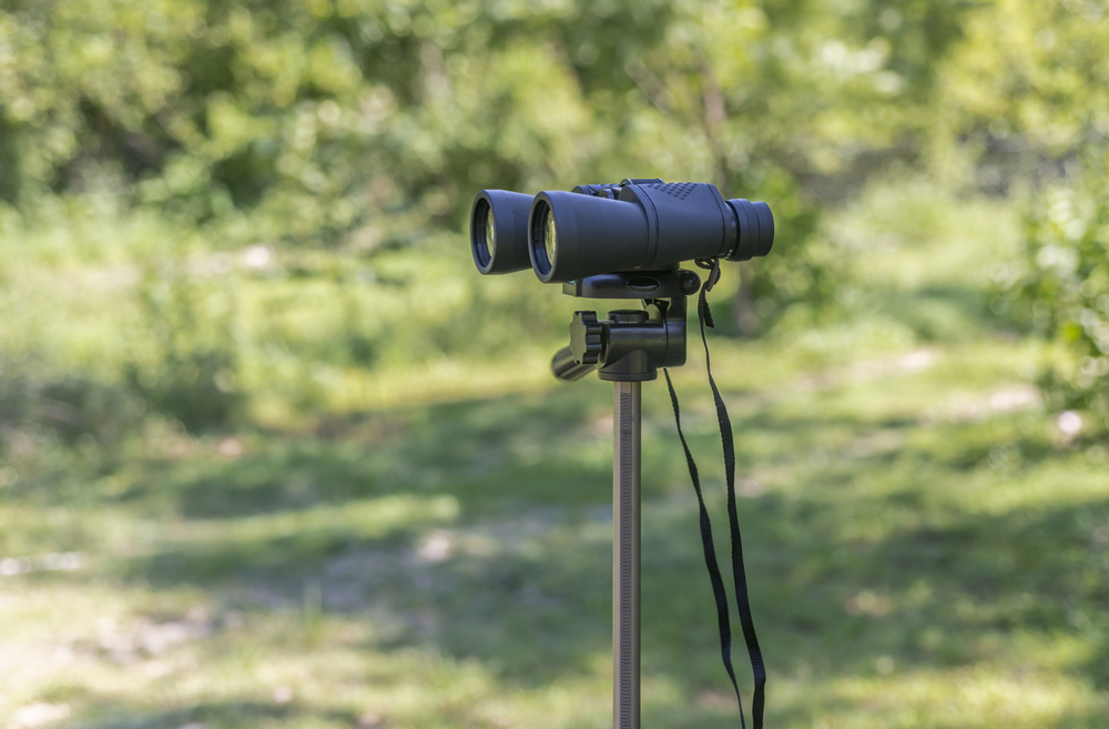 A scope placed on a three-legged stand in a forest