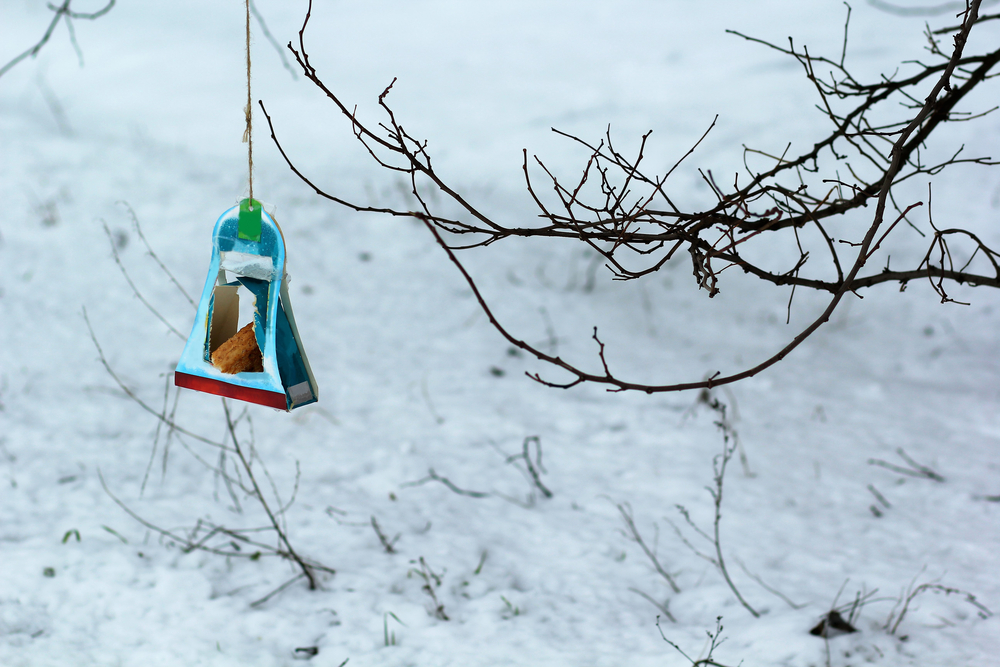 Hanging bird feeder hand made of carboard box