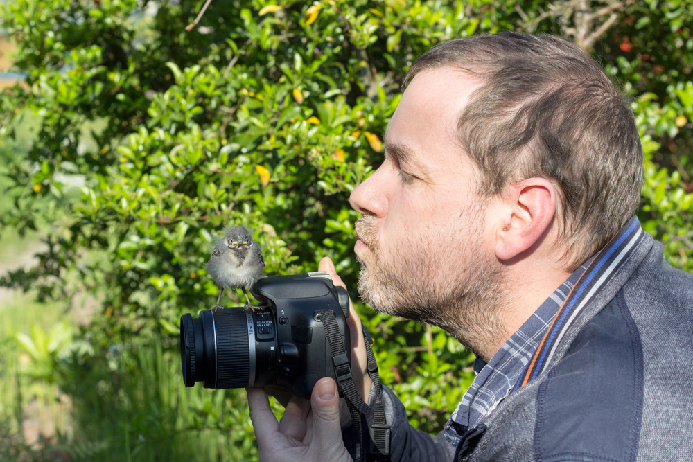 Songbird and photographer