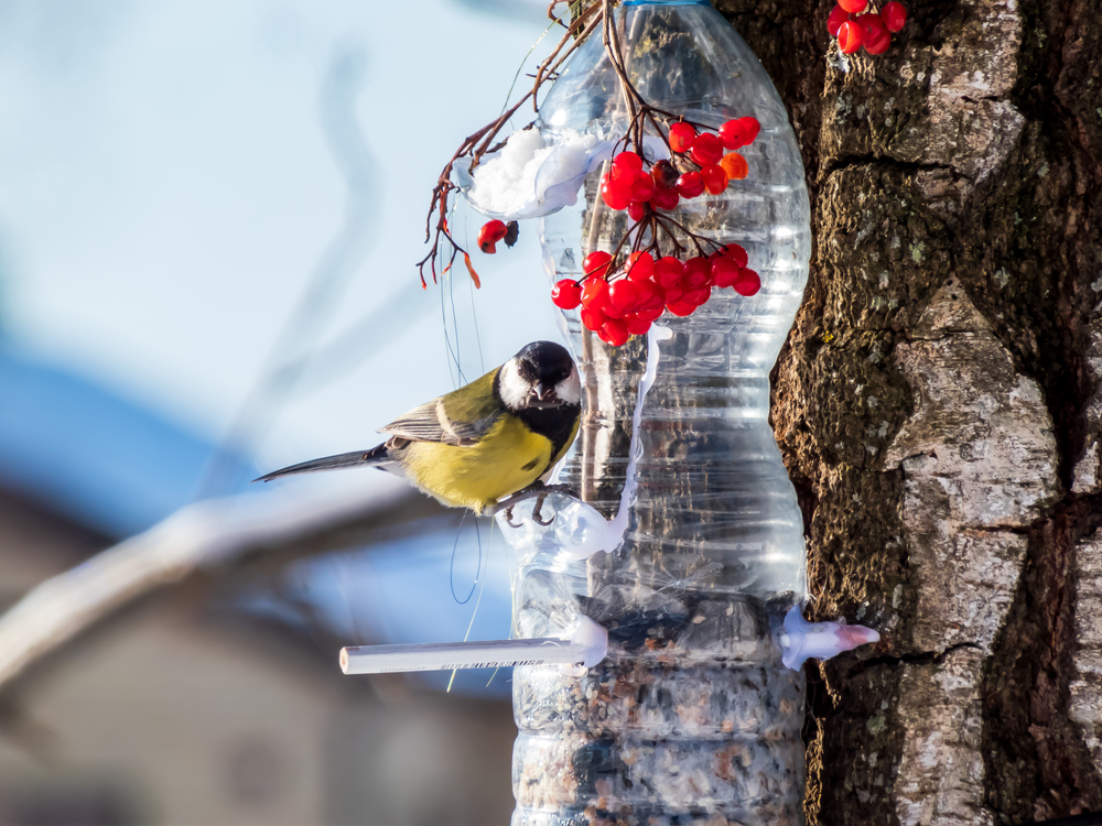 Homemade bottle bird feeder