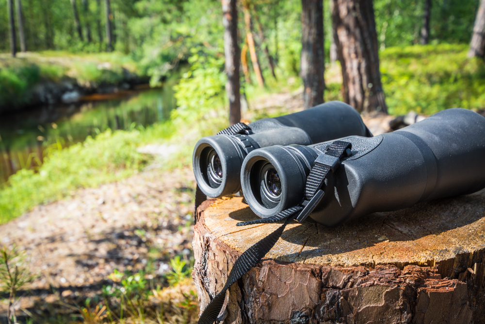 Black telescope on stump in forest