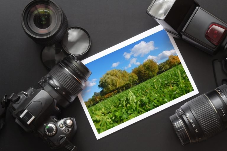 How To Start A Career In Wildlife Photography Glenlivet Wildlife