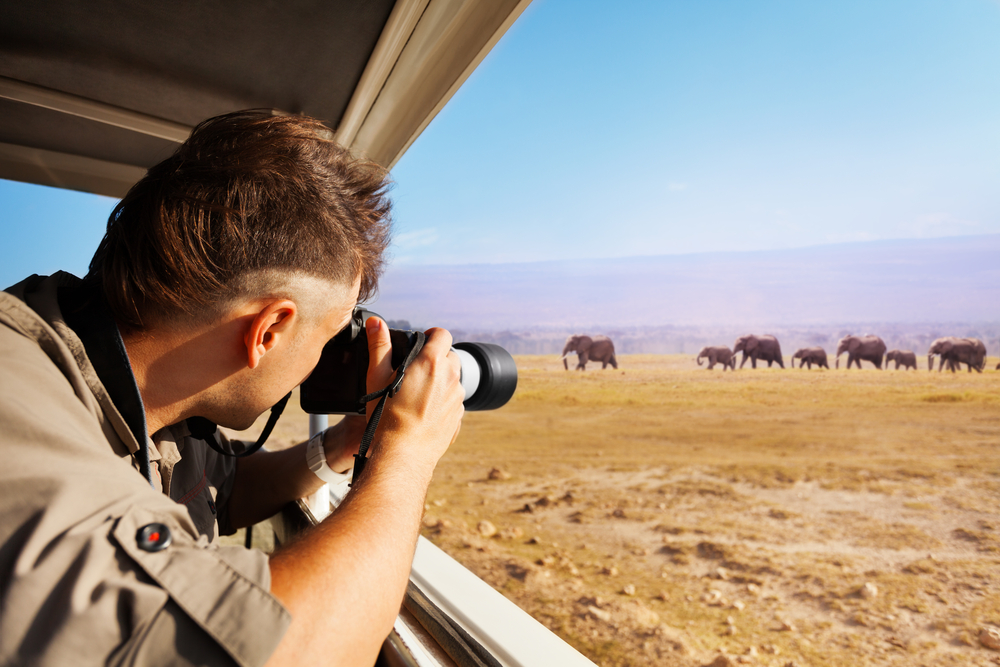 Man taking photo of herd of elephants