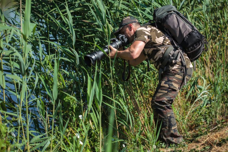 How To Start A Career In Wildlife Photography Glenlivet Wildlife