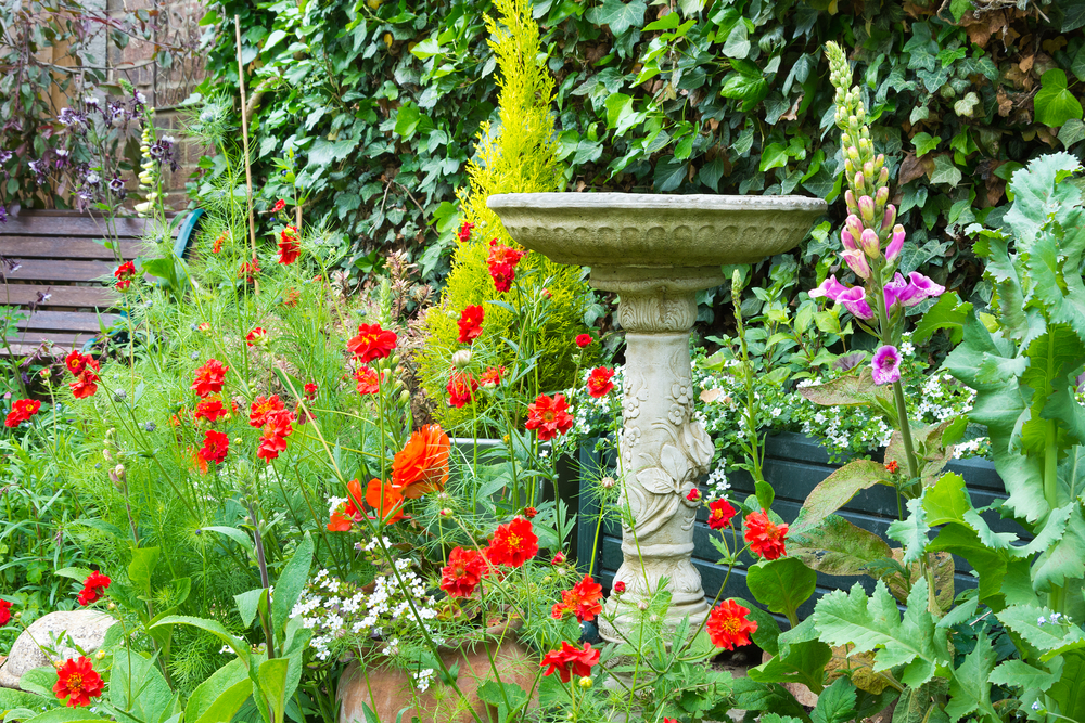 Stone bird bath in summer bedding flowers