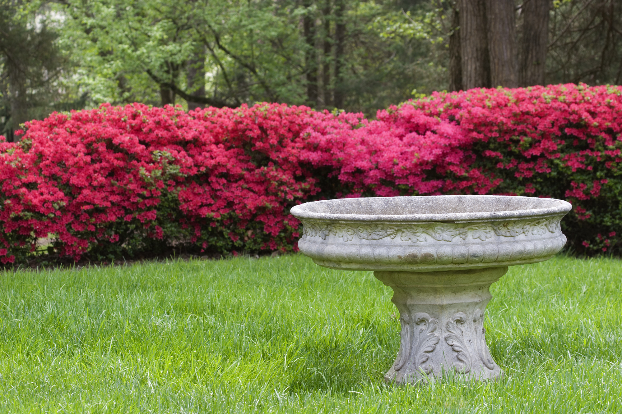 Simple outdoor Bird stone bath design