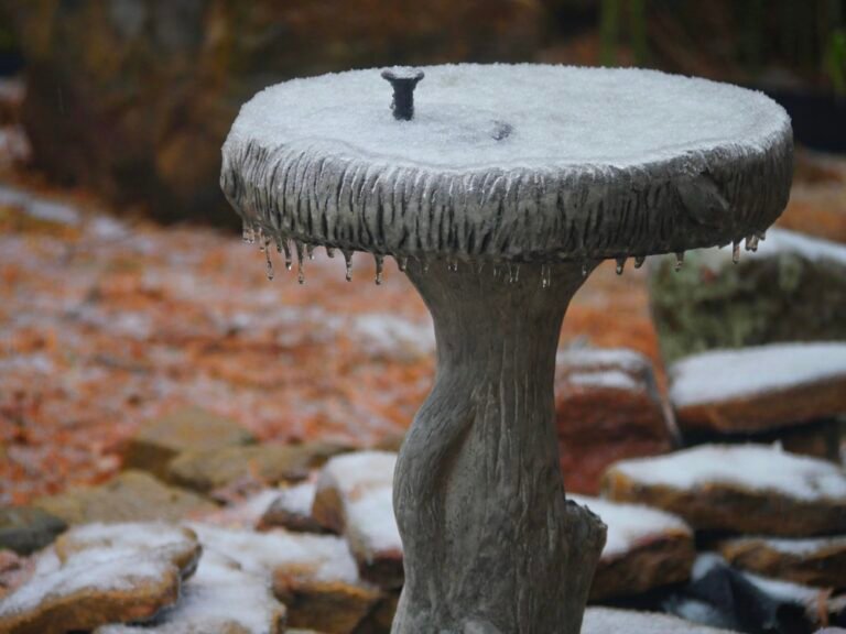 How To Stop Bird Baths Freezing During Winter 18 Top Tips