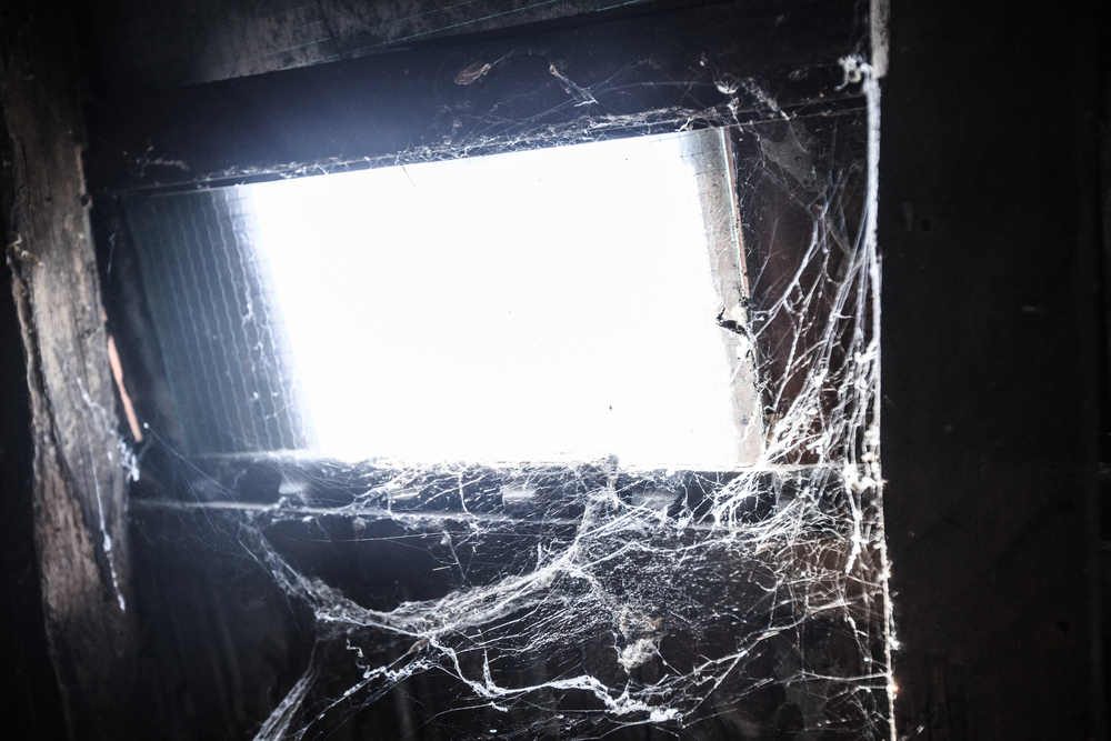 Rustic attic with spiders web on the window