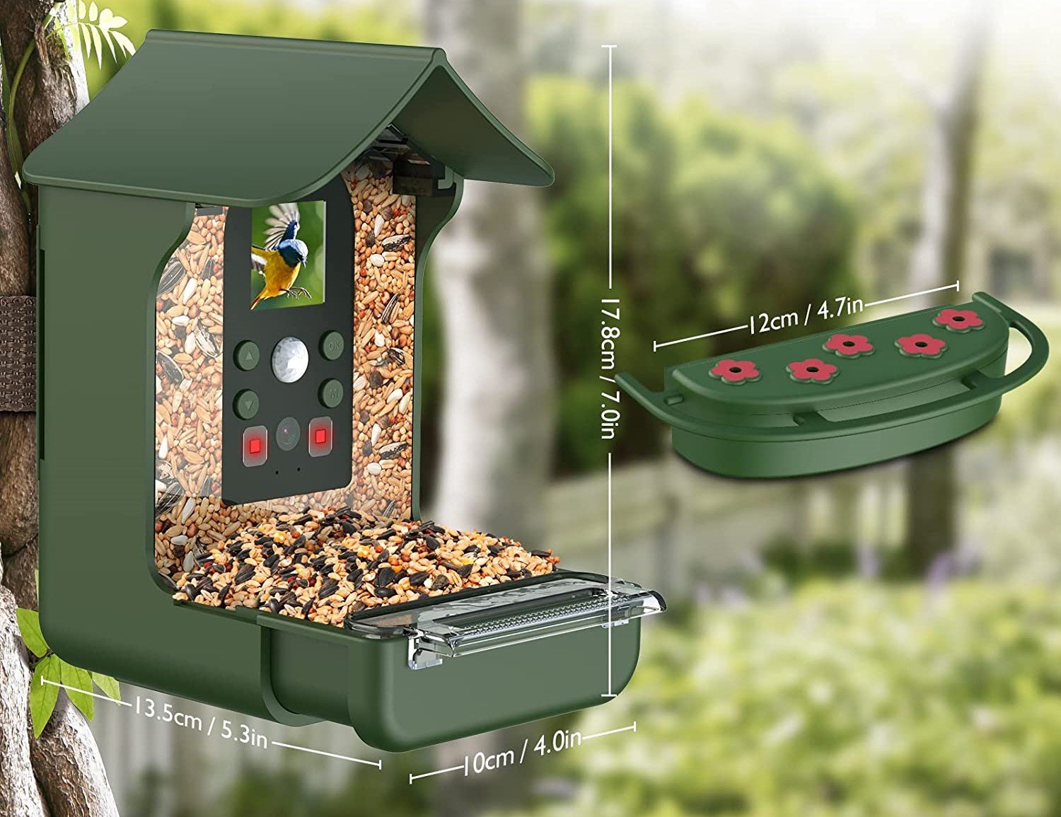Best Bird Feeder Cameras Of 2023 Glenlivet Wildlife