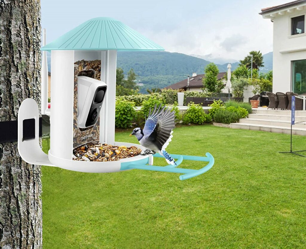 NETVUE Birdfy AI-smart bird feeder camera