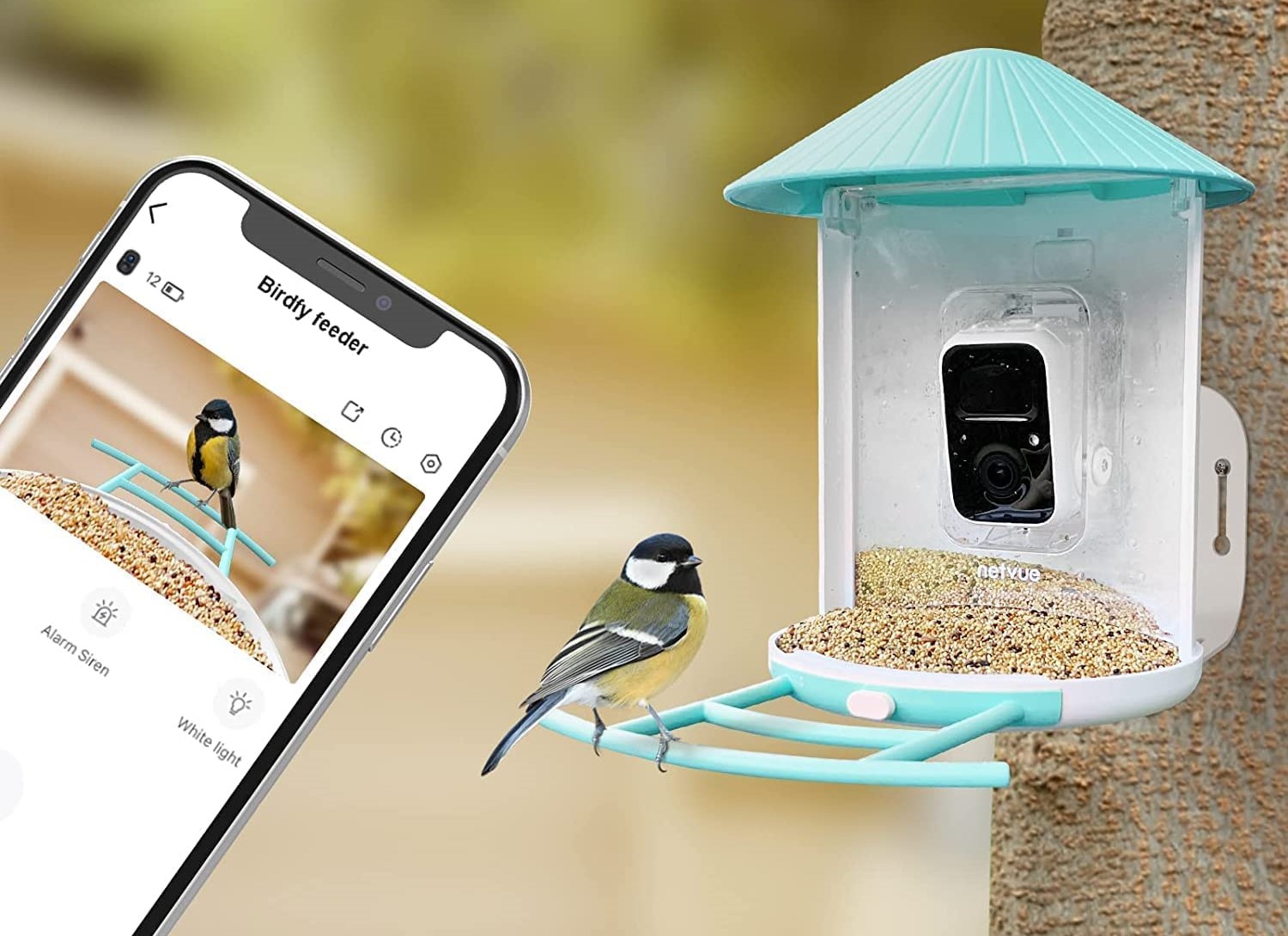 Best Bird Feeder Cameras Of 2023 - Glenlivet Wildlife