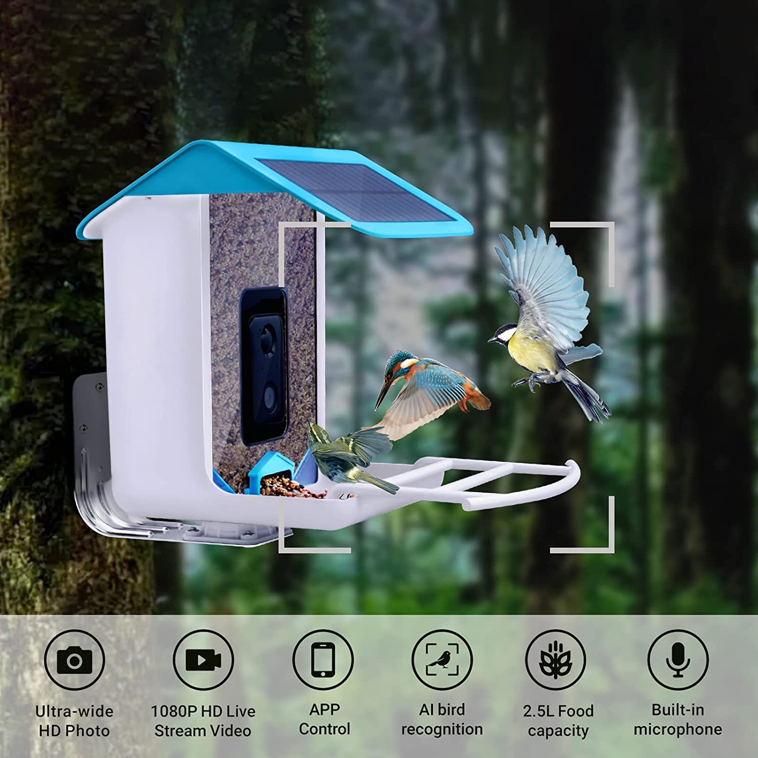 Best Bird Feeder Cameras Of 2023 - Glenlivet Wildlife