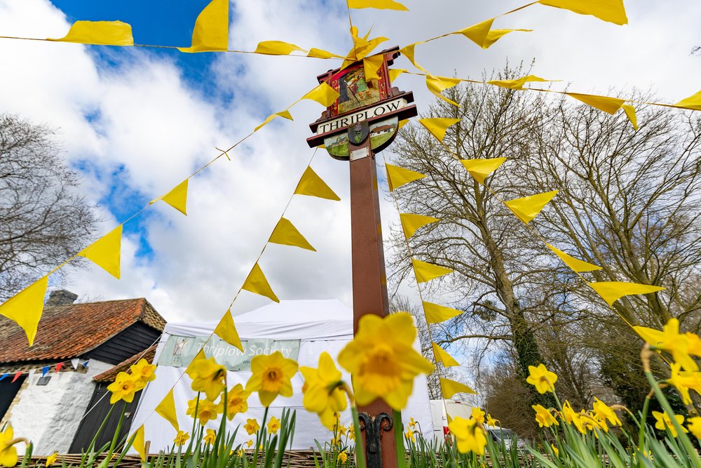 Thriplow Daffodil Festival 2023, Thriplow, Cambridge Saturday 25 March 2023.  Picture by Terry Harris.