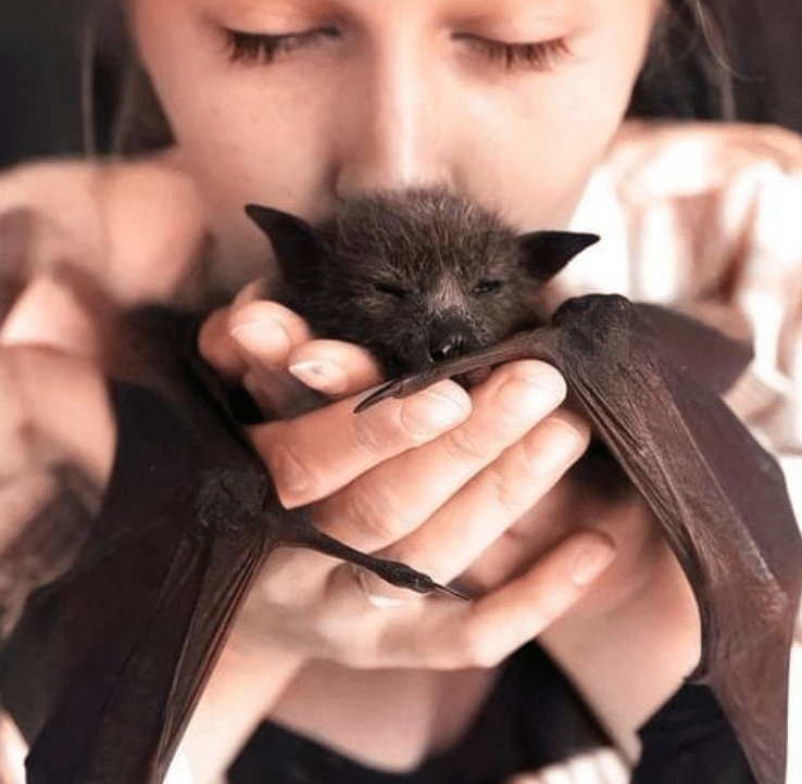 A woman holding a bat